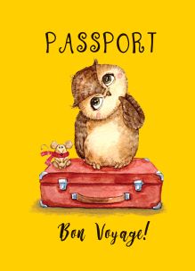 Обложка Сова-путешественница (обложка на паспорт) 