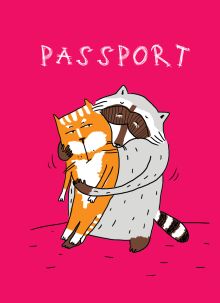 Обложка Енот и обнимашки (обложка на паспорт) 