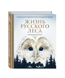 Митителло К.Б. - Жизнь русского леса. Большая подарочная энциклопедия (сова) обложка книги Митителло К.Б. - Жизнь русского леса. Большая подарочная энциклопедия (сова) обложка книги