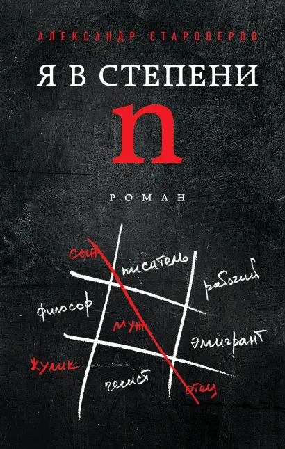 Обложка Я в степени N Александр Староверов
