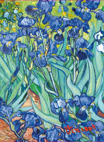 Обложка Обложка пластиковая универсальная. Ван Гог. Ирисы (маленький формат) (Арте)