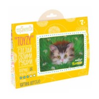 НАБОР TOYZY ''КОТИК'' - КАРТИНА ШЕРСТЬЮ, ФОРМАТ А4 НАБОР TOYZY ''КОТИК'' - КАРТИНА ШЕРСТЬЮ, ФОРМАТ А4
