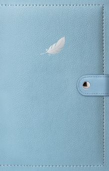 Дневник мечты (перо)