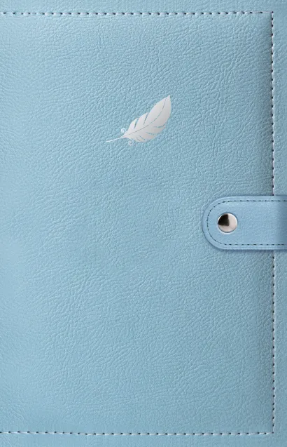 Обложка Дневник мечты (перо) 