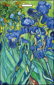 Кардхолдер, Винсент Ван Гог Ирисы (вертикальный с двумя карманами)