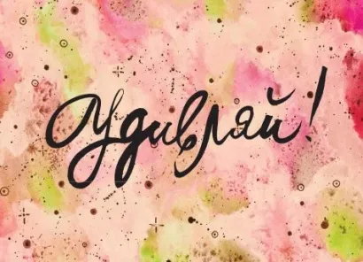 Обложка Кардхолдер Удивляй! (100х75 мм, на 20 карт) 