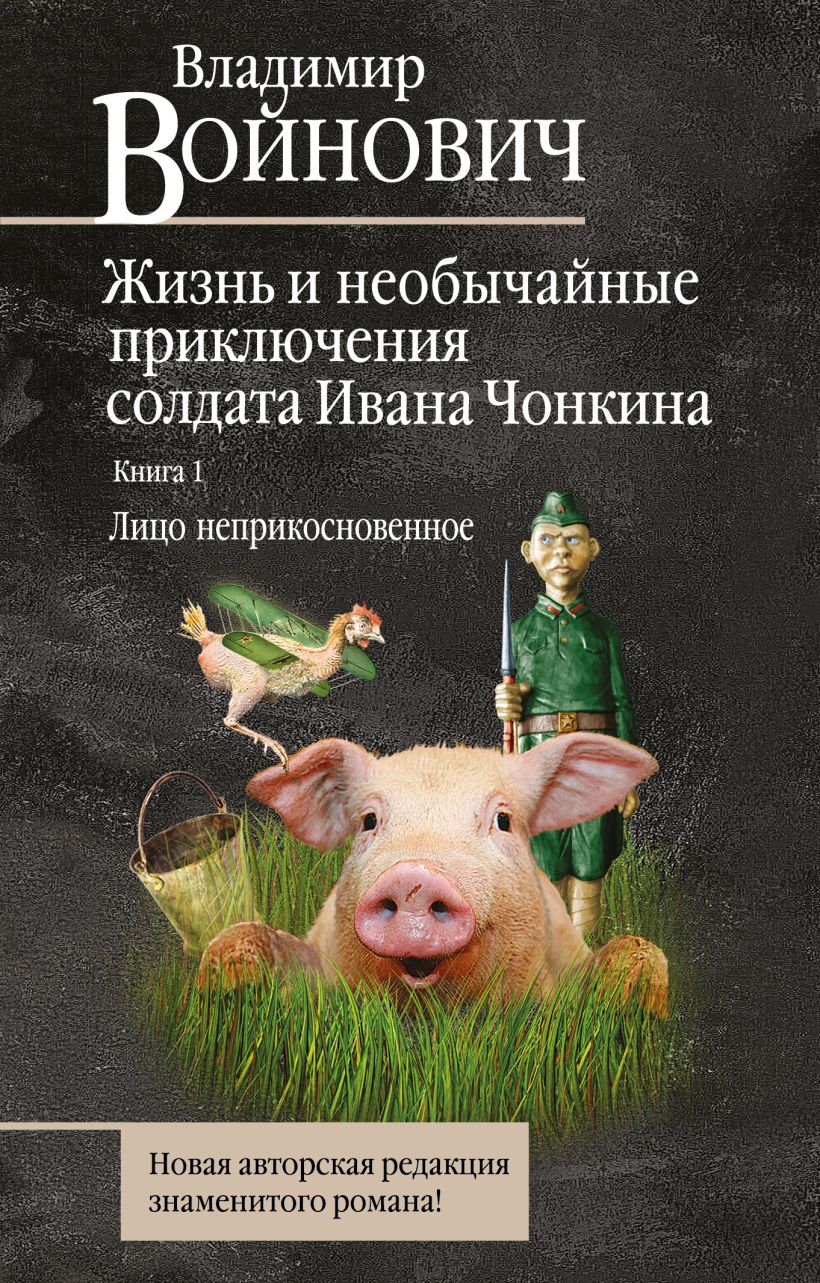 Приключения солдата чонкина. Жизнь и приключения солдата Ивана Чонкина. Жизнь и необычные приключения солдата Ивана Чонкина. Приключения солдата Ивана Чонкина книга. Войнович жизнь и необычайные приключения солдата Ивана Чонкина книга.