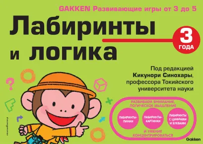 Обложка 3+ Лабиринты и логика 