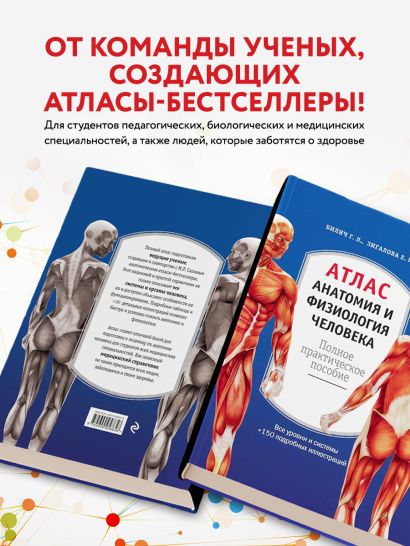 Атлас. Анатомия и физиология человека: полное практическое пособие. 2-е издание, дополненное