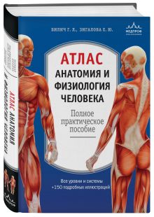 Атлас. Анатомия и физиология человека: полное практическое пособие. 2-е издание, дополненное