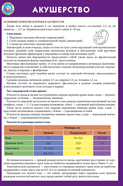 Обложка Акушерство 