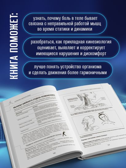 Прикладная кинезиология. Восстановление тонуса и функций скелетных мышц