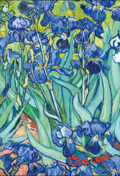 Обложка Блокнот в пластиковой обложке. Ван Гог. Ирисы (формат А5, 160 стр.) (Арте)