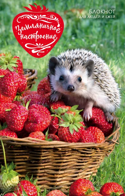 Обложка Земляничное настроение. Блокнот для людей и ежей Елена Еремина