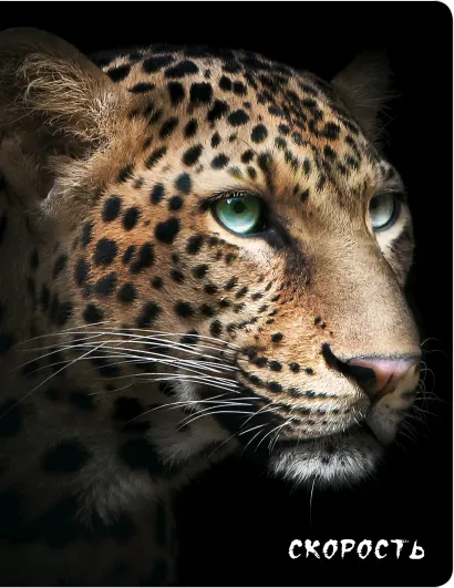 Обложка Скорость (Гепард) 