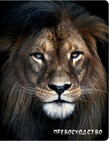 Превосходство (Лев)