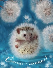 Блокнот с ежиками: Ёжедневник "Счастье - летать!"