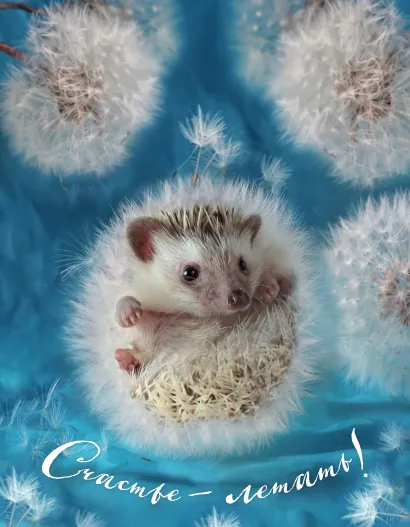 Обложка Блокнот с ежиками: Ёжедневник "Счастье - летать!" Елена Еремина