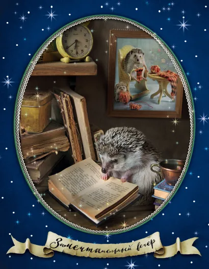 Обложка Блокнот с ежиками: Ёжедневник "ЗаМЕЧТАтельный вечер" Елена Еремина