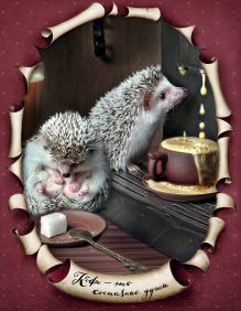 Блокнот с ежиками: Ёжедневник "Кофе - это состояние души"