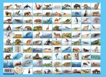 Обложка сзади Удивительная книга об удивительных животных 