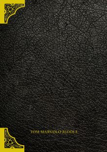Обложка сзади Дневник Тома Реддла (артефакт из фильма, обложка из эко-кожи, металлические уголки) 