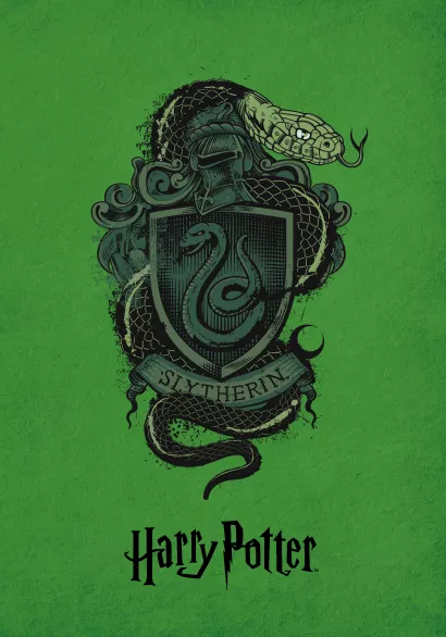 Обложка Блокнот. Факультет Слизерин 