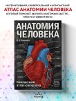 Анатомия человека: компактный атлас-раскраска