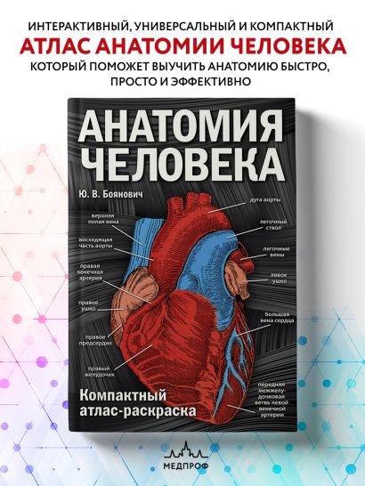 Анатомия человека: компактный атлас-раскраска