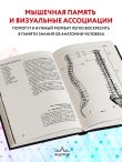 Анатомия человека: компактный атлас-раскраска