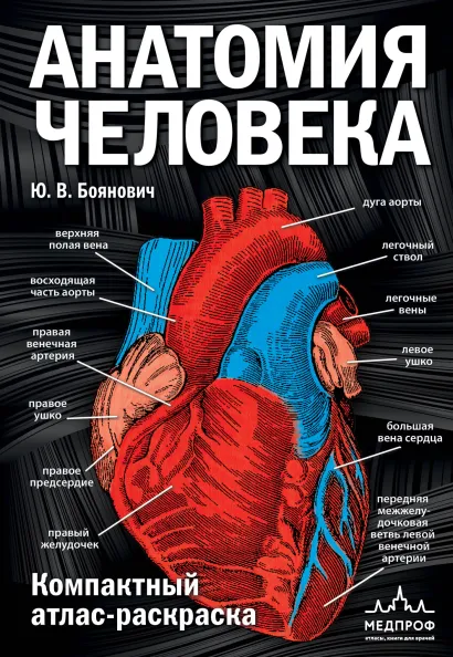 Обложка Анатомия человека: компактный атлас-раскраска Ю. В. Боянович