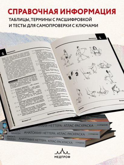 Анатомия Неттера: атлас-раскраска