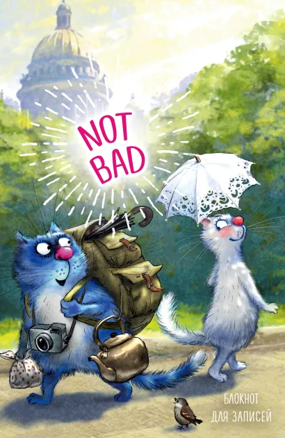 Обложка Блокнот. Not bad Ирина Зенюк