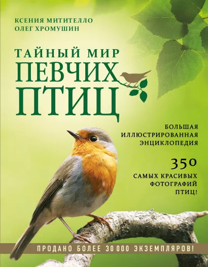 Обложка Тайный мир певчих птиц. Большая иллюстрированная энциклопедия Ксения Митителло, Олег Хромушин