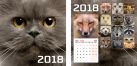 Календарь настенный 2018 скрепка 12л 195*195 8866-EAC Морды животных Календарь настенный 2018 скрепка 12л 195*195 8866-EAC Морды животных