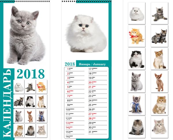 Календарь настенный верт узкий 2018 Wсп 6л 150*420 8868-EAC Котята Календарь настенный верт узкий 2018 Wсп 6л 150*420 8868-EAC Котята