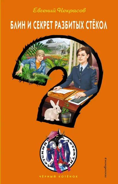 Обложка Блин и секрет разбитых стёкол Евгений Некрасов