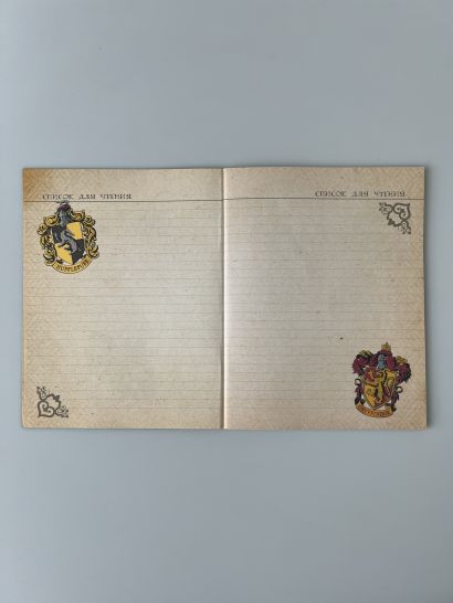 Гарри Поттер. Читательский дневник