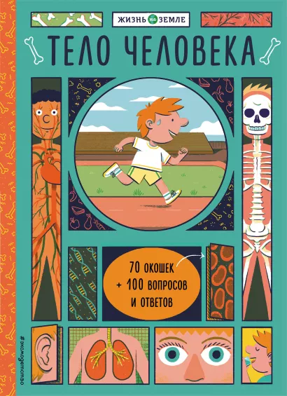 Обложка Тело человека (с окошками) 