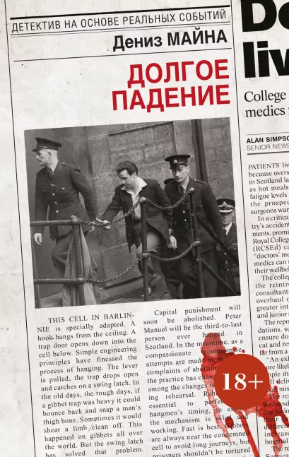 Обложка Долгое падение Дениз Майна