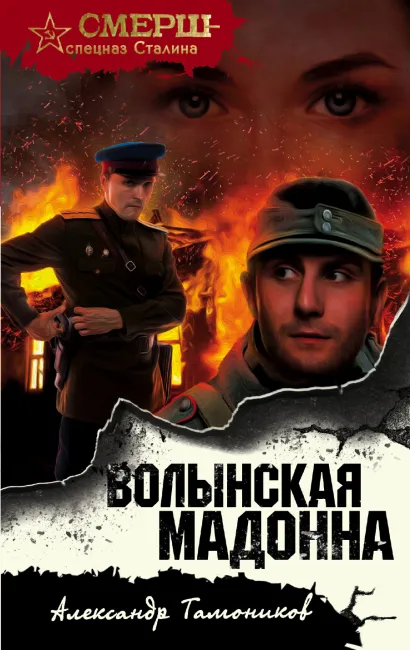 Обложка Волынская мадонна Александр Тамоников