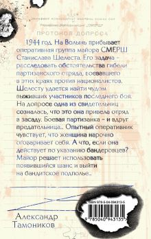 Обложка сзади Волынская мадонна Александр Тамоников