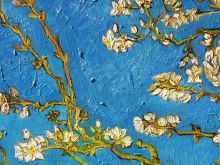 Обложка сзади Кардхолдер. Винсент Ван Гог Цветущие ветки миндаля (в форме книжки, 215х65 мм) 