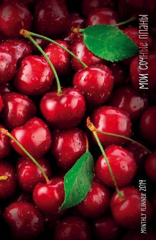 Мои сочные планы. Monthly Planner 2019