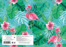 Обложка сзади Фламинго. Альбом для рисования (формат А4, офсет 160 гр., 40 страниц, евроспираль) 