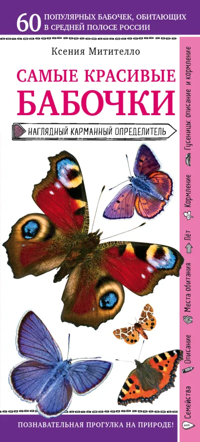 Обложка Бабочки. Наглядный карманный определитель (для ПР) Ксения Митителло