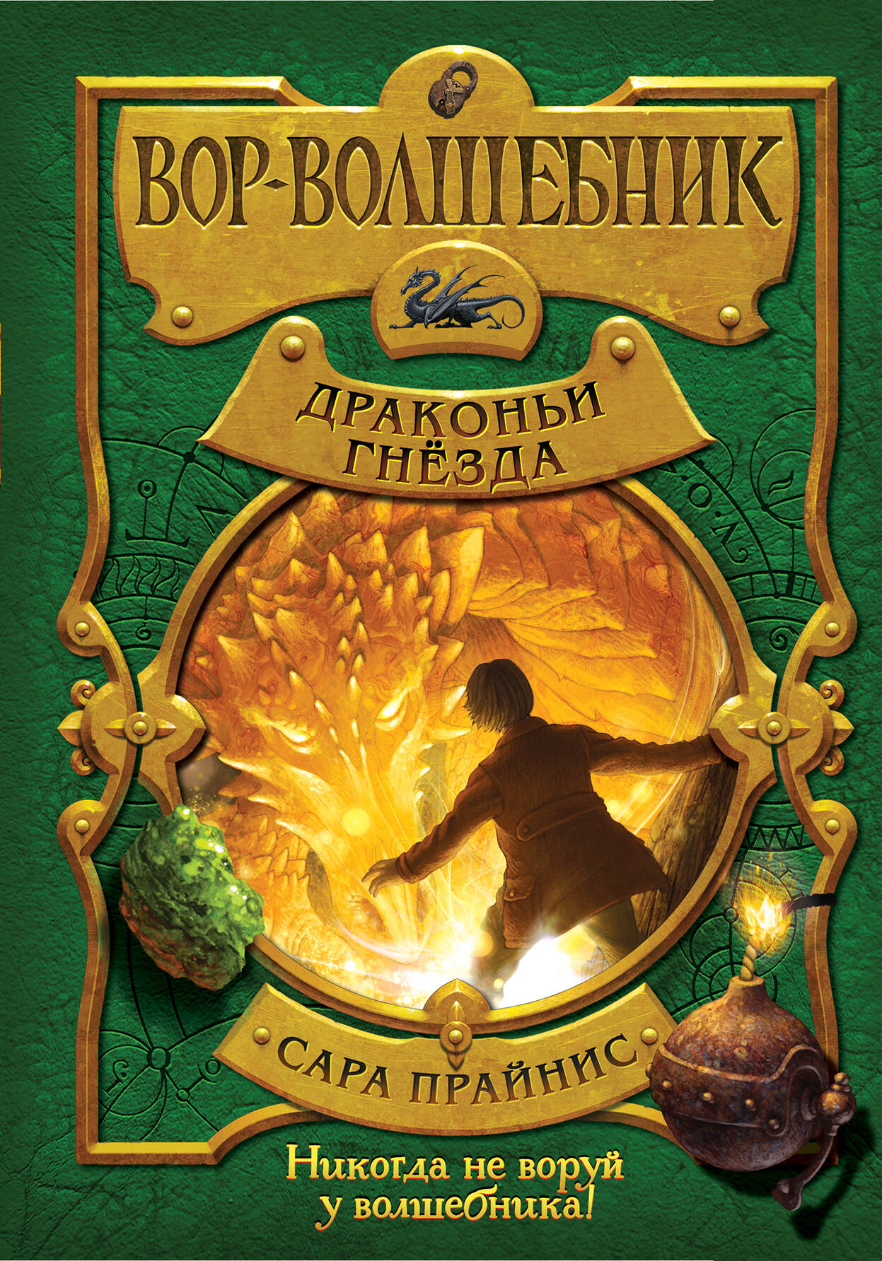 Вор-волшебник. Драконьи гнезда (#3)