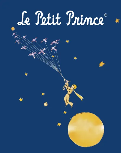 Обложка Тетрадь Маленький принц. синяя. полет (48 л., клетка)