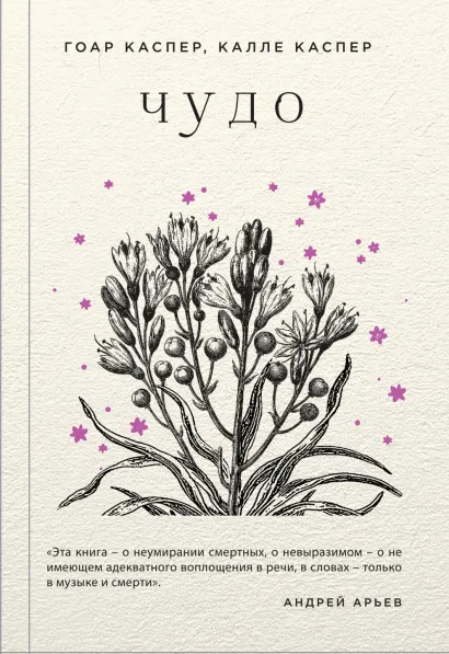 Обложка Чудо Гоар Каспер, Калле Каспер