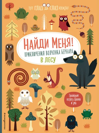 Обложка Найди меня! Приключения волчонка Бернара в лесу 